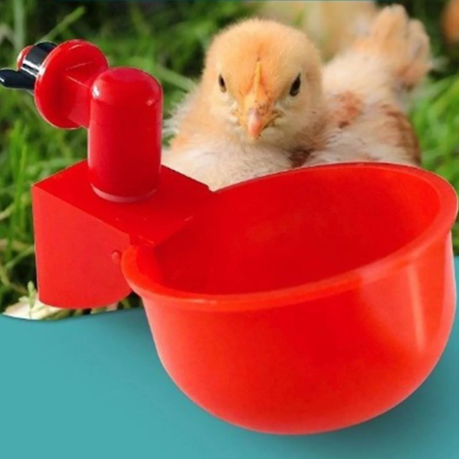 6-36Pcs Chicken Duck Drinking  - Chicken Nipple Drinker reseña y precio