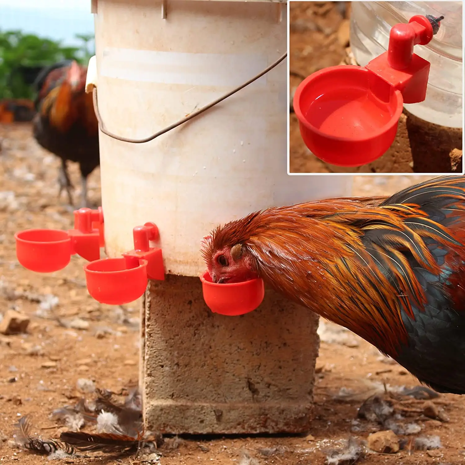 6-36Pcs Chicken Duck Drinking  - Chicken Nipple Drinker reseña y precio