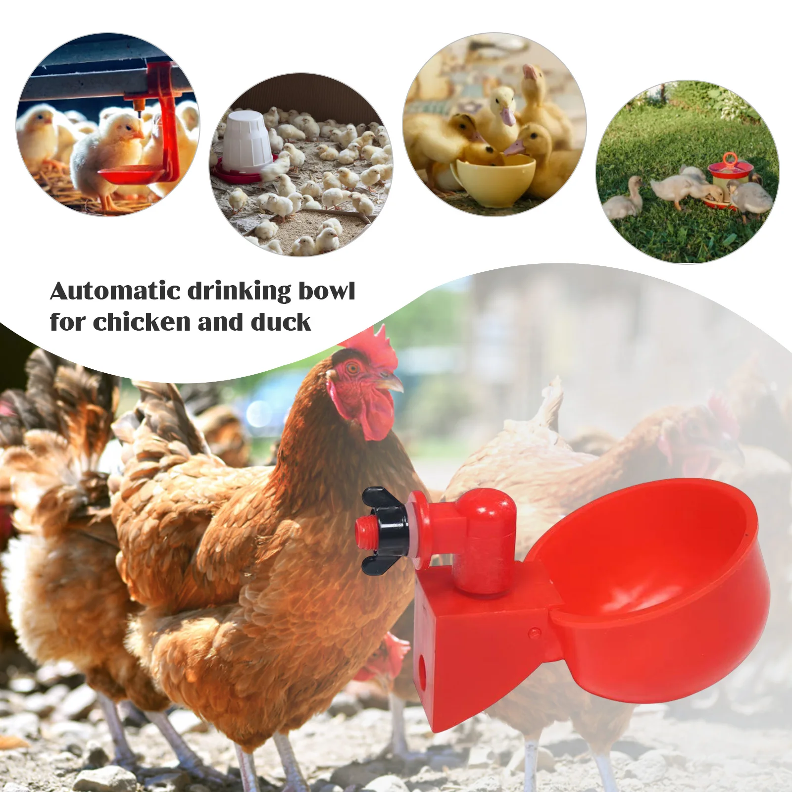 6-36Pcs Chicken Duck Drinking  - Chicken Nipple Drinker reseña y precio
