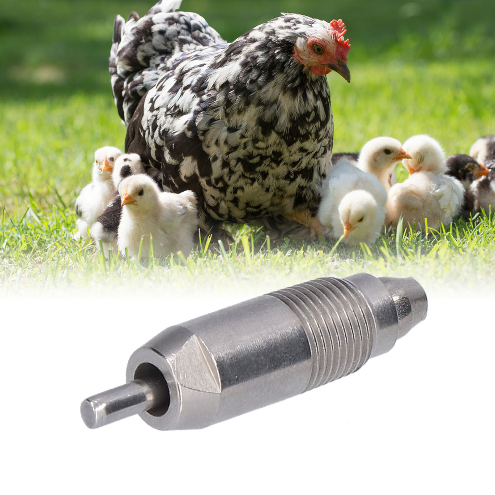 10Pcs Stainless Steel Chicken  - Chicken Nipple Drinker reseña y precio
