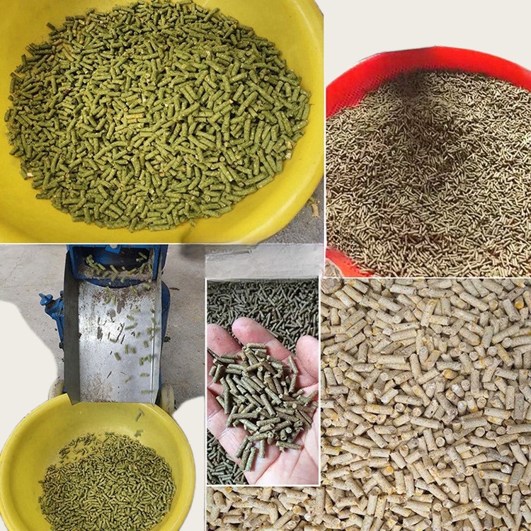 Pelletizer Machine for Animal  - Wood Pellet Making Machine reseña y precio