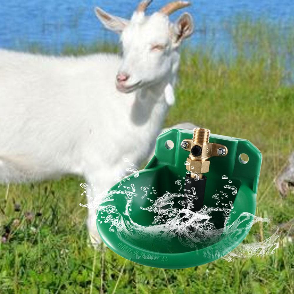 Automatic Water Bowl Liquid Dr - Chicken Nipple Drinker reseña y precio