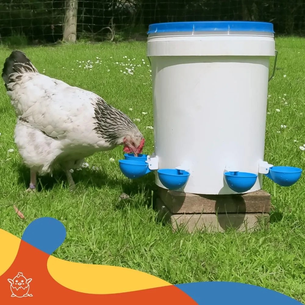 5PCS Poultry Kit Automatic Chi - Chicken Nipple Drinker reseña y precio