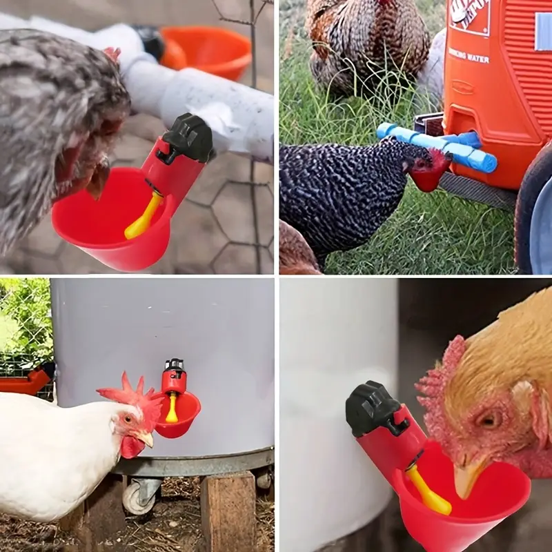 5/10/15Pcs Chicken Quail Hangi - Chicken Nipple Drinker reseña y precio