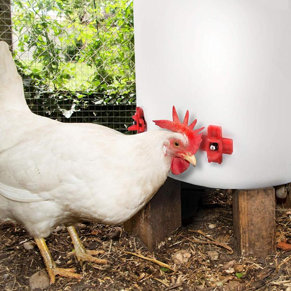 12 pcs Automatic Chicken Water - Chicken Nipple Drinker reseña y precio