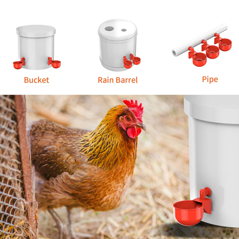 50Pcs Automatic Poultry Drinki - Chicken Nipple Drinker reseña y precio
