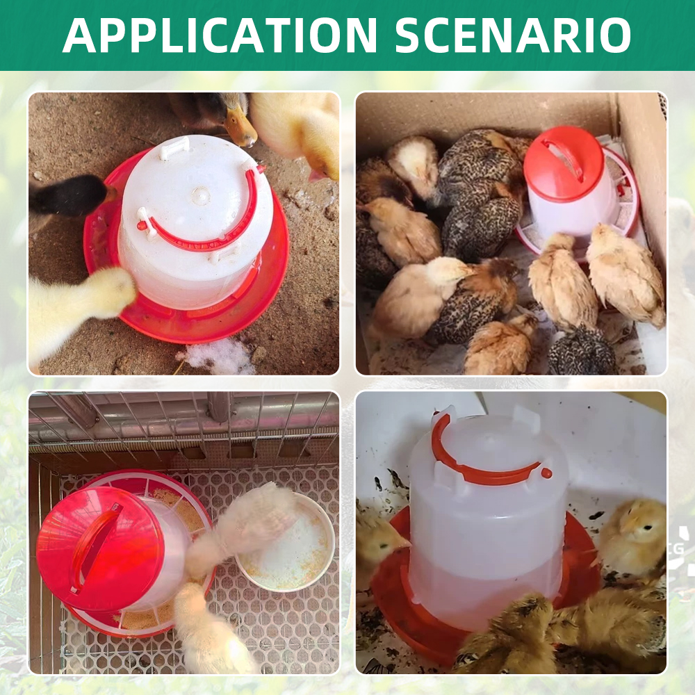 Automatic Chicken Feeder Water - Chicken Nipple Drinker reseña y precio