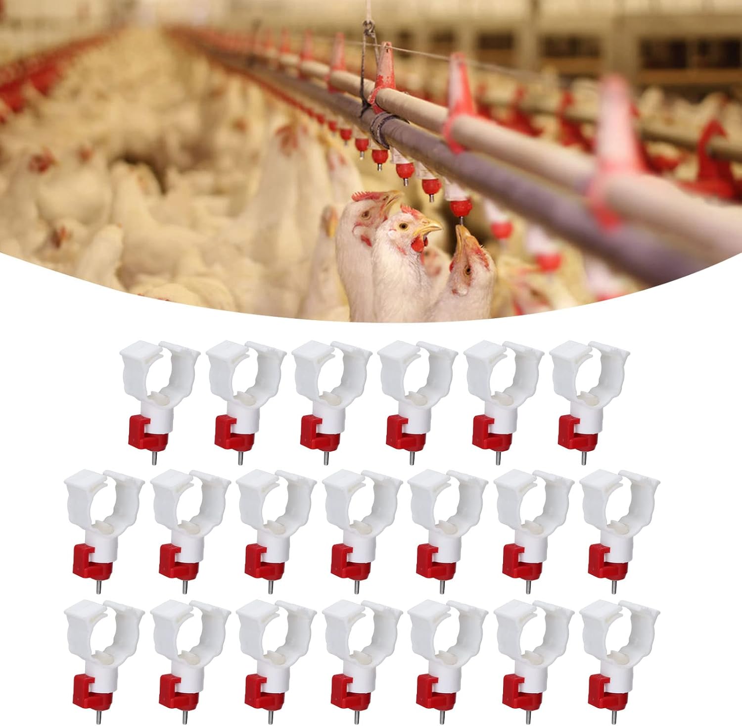 High Quality 20PCS Chicken Nip - Chicken Nipple Drinker reseña y precio